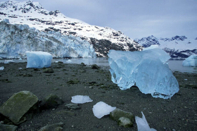 Est-ce que le risotto se réchauffe ?