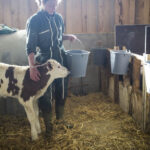 Est-ce que le veau doit être bien cuit ?