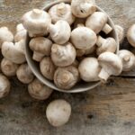 Est-ce que les champignons de Paris noircissent ?