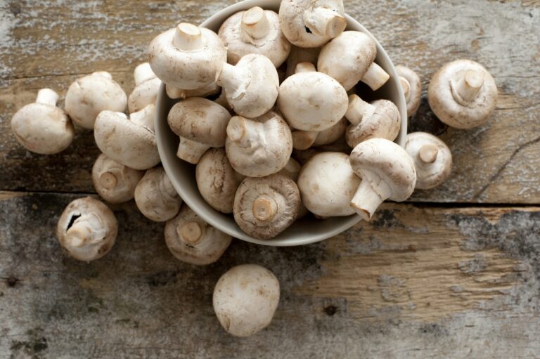 Est-ce que les champignons de Paris noircissent ? Est-ce que les champignons de Paris noircissent ?