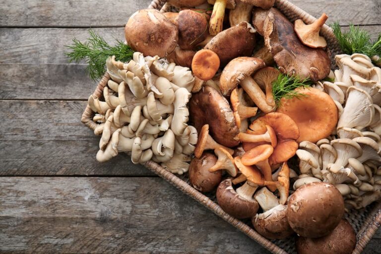 Est-ce que les champignons de Paris sont bons pour la santé ? Est-ce que les champignons de Paris sont bons pour la santé ?