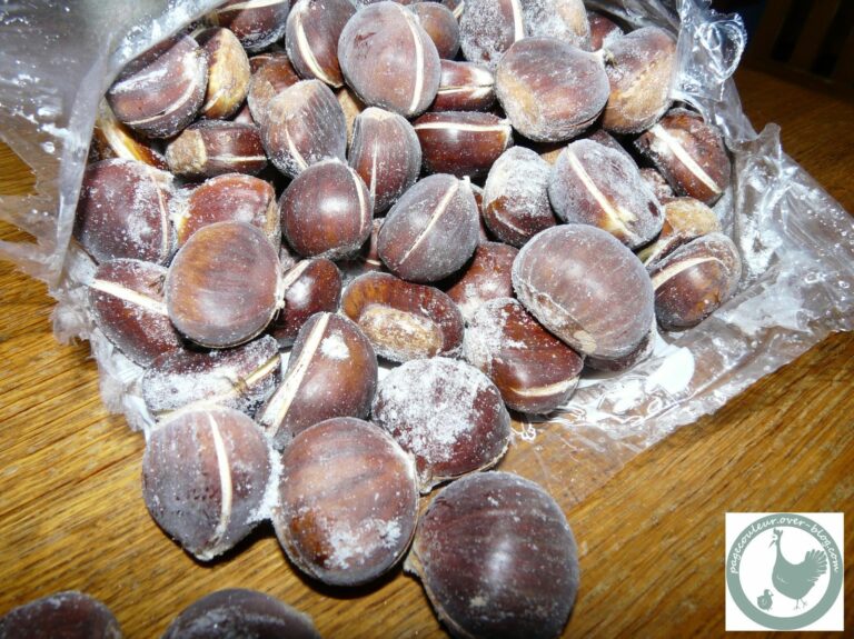 Est-ce que les châtaignes donnent des gaz ?