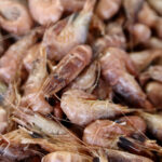 Est-ce que les crevettes grises sont cuites ?
