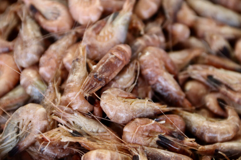 Est-ce que les crevettes grises sont cuites ?