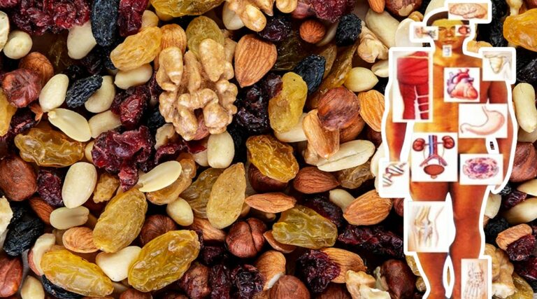 Est-ce que les fruits secs Periment ?