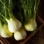 Est-ce que les graines de fenouil se mangent ?