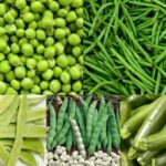 Est-ce que les haricots verts font maigrir ?