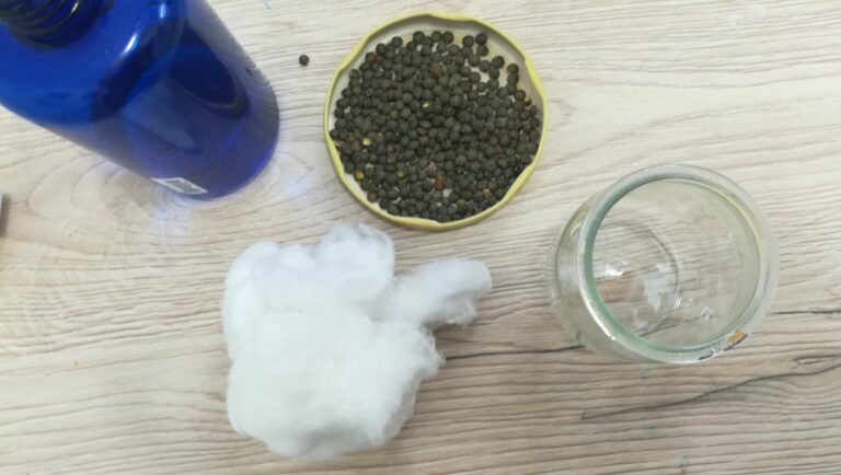 Est-ce que les lentilles se périme ?