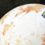 Est-ce que les oeufs d'autruche se mange ?