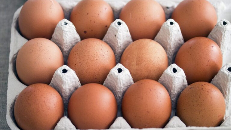 Est-ce que les œufs sont bons pour le foie ?