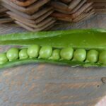 Est-ce que les petits pois ça fait grossir ?