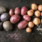 Est-ce que les pommes de terre font grossir ?