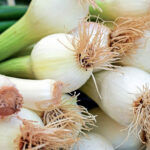 Est-ce que l'oignon de la ciboulette se mange ?