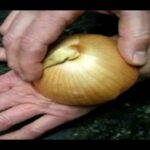 Est-ce que l'oignon est bon pour la peau ?