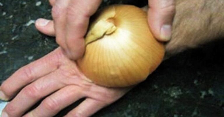 Est-ce que l'oignon est bon pour les reins ?