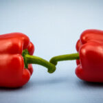 Est-ce que l'on peut congeler des poivrons ?