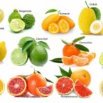 Est-ce que tous les citrons sont comestibles ?