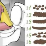 Est-ce que tous les corps flottent ?