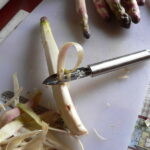 Est-ce qu'il faut peler les asperges blanches ?