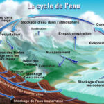 Est-ce qu'il y a de l'eau dans le lait ?