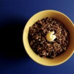 Est-ce qu'il y a du gluten dans le couscous ?