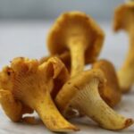 Est-ce qu'on peut congeler des champignons crus ?