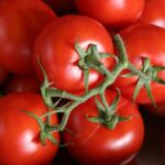 Est-ce qu'on peut congeler des légumes crus ?