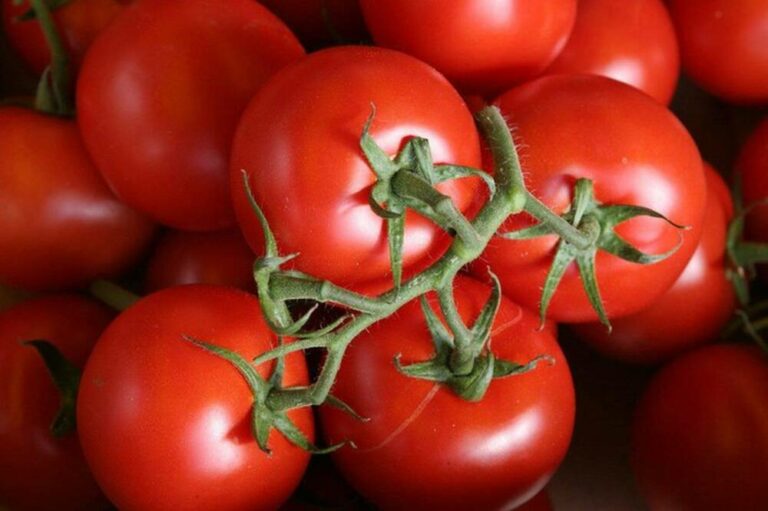 Est-ce qu’on peut congeler des légumes crus ? Est-ce qu'on peut congeler des légumes crus ?