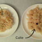 Est-ce qu'on peut manger de la choucroute crue ?