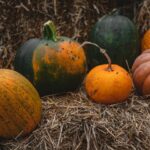 Est-ce qu'on peut manger la peau du potiron ?