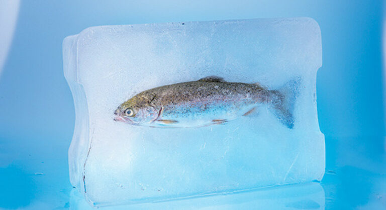 Est-ce qu'on peut recongeler de la glace ?