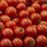 Est-il bon de manger des carottes tous les jours ?