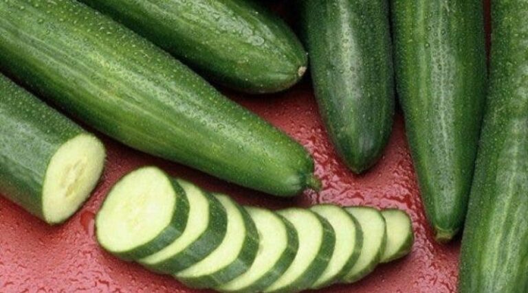 Est-il bon de manger du concombre tous les jours ?