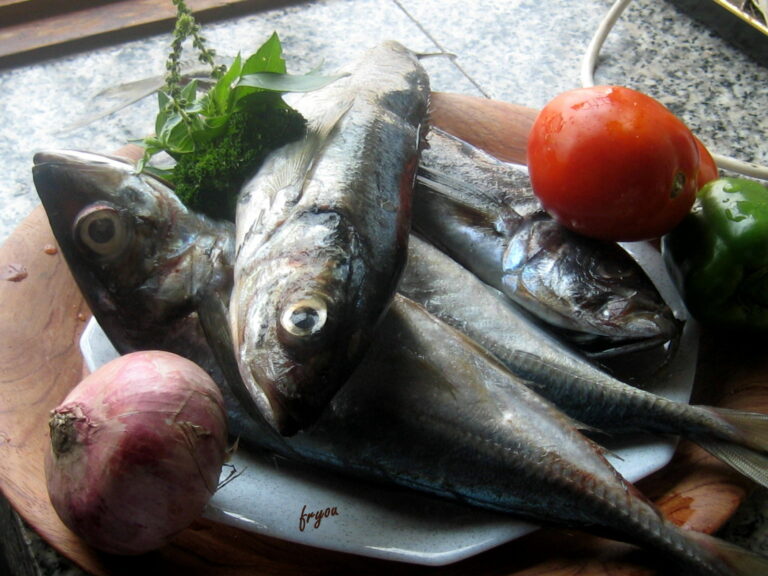 Est-il bon de manger trop de poisson ? Est-il bon de manger trop de poisson ?