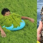 Est-il dangereux de manger de la terre ?