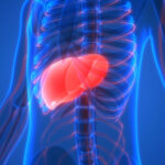 Est-il dangereux de manger du foie ?