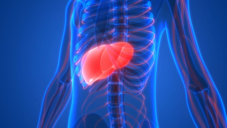 Est-il dangereux de manger du foie ? Est-il dangereux de manger du foie ?