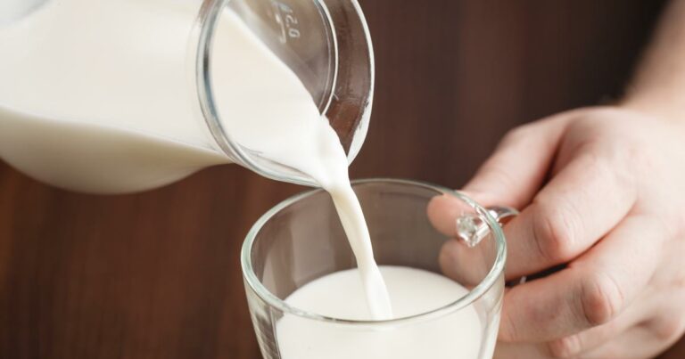 Est-il mauvais de boire du lait ? Est-il mauvais de boire du lait ?