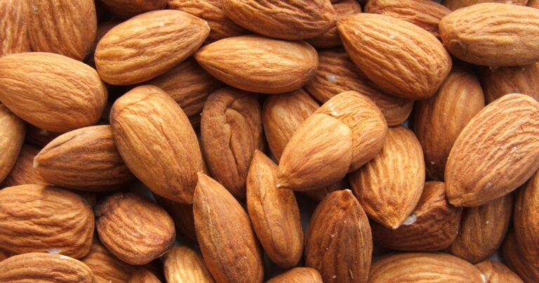 Est-il mauvais de manger trop d’amandes ? Est-il mauvais de manger trop d'amandes ?