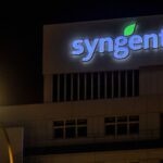 Le patron de Syngenta dénonce l'agriculture bio face aux risques de pénuries alimentaires