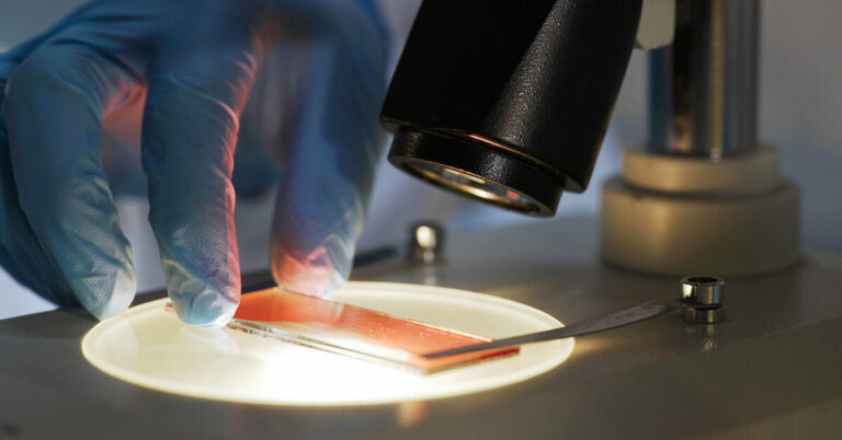 Génome humain 2.0 : comment notre atlas cellulaire peut aider à diagnostiquer et à traiter les maladies