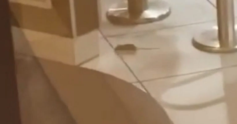 “Je ne mangerai plus jamais ici”