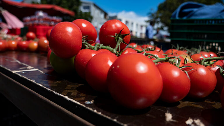 Le prix des aliments continue d