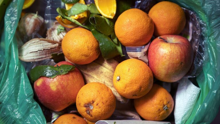 Lutte contre le gaspillage alimentaire : St Moret® fait la différence !