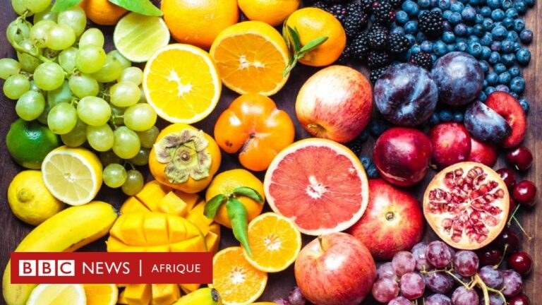 Nutrition : pourquoi le sucre de fruits est sain et le sucre transformé ne l’est pas