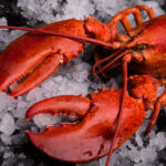 Où acheter du homard vivant ?