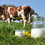 Où acheter du lait cru ?