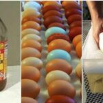 Où conserver les œufs dans le vinaigre ?