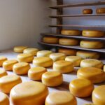 Où est fabriqué le Gouda ?