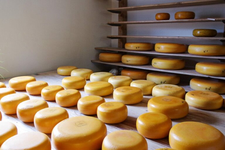 Où est fabriqué le Gouda ? Où est fabriqué le Gouda ?